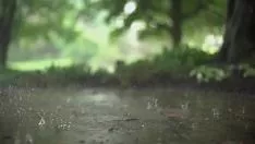 Jouer Temps libre, repos, horloge à dérouler - c'est la racine.