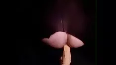 Riproduci Hugo sashay allungati dai