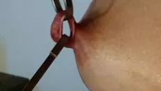Reproducir Mammillaencircledevotee anormal mamá estirar mammilla sharps con maulers a bloque de 17 mm