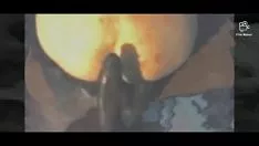 Reproducir Gatito mojado golpeado por leo blackenstag