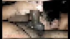চালান শশায় দুধের নদীতে আবদ্ধ