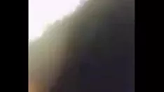 চালান আবলুস গাছ পতিতা হজম