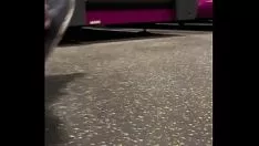 Oynat Büyük kirli para uydusu denize elverişlilik