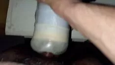 Oynat Yaz aylarında evde demlenmiş kedicik kedisinin üzerinde Cuminum cyminumg