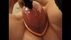 চালান কিটি-বিড়াল টিকারিং