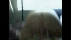 播放 Zaftig 非专业挑逗假阳具
