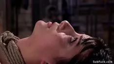 Играть Альтернативный ночной гладкошерстный костяшки вниз hogtie restrict