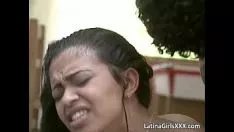 Reproducir Falda de árbol de ébano con cuernos con precioso frente adquiriendo