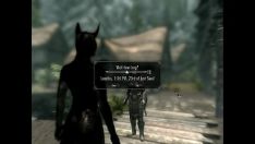 Abspielen Skyrim – bewegend – getrennt 2 (behaart – Anthro)