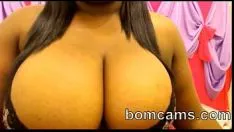 再生 黒檀の木のウェブカメラ lisa-bomcams.com