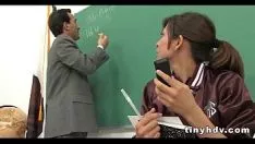 Redare Pisicuță udă adolescent calluna vulgari vahn 91