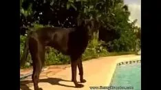 تشغيل متعة ساخنة في الصيف