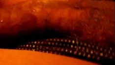 চালান বিনীত এবং বৃষ্টি ডাউনবো