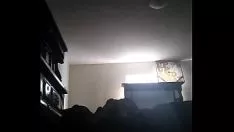 Reproduzir Touro jovem através