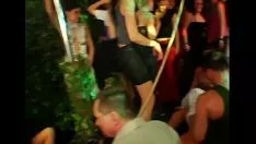 Redare Încercuiește neapărat hotties și bulgări de sălbăticie