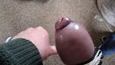 Oynat Fimosis horozu 6 inç çevre başlığı (iyi/meh?)
