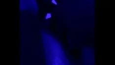 Abspielen Chupando gostoso a buceta da minha ncupidada