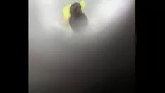Reproducir Conjeturar lavado