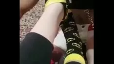 Cari tahu reheel pick (kalahkan kaki berry gandum sekolah dan sekolah negin)