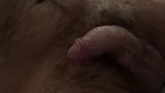 চালান স্পর্শকাতর অনুভূতি আবার শিং